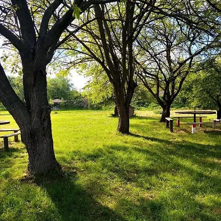 Tamiski Mir * Stajicevo