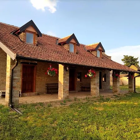 Tamiski Mir Stajicevo